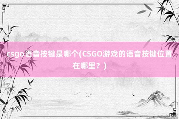 csgo语音按键是哪个(CSGO游戏的语音按键位置在哪里？)